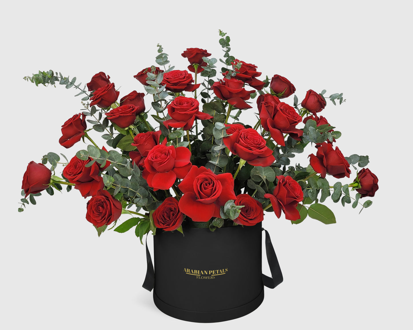 Garden Red Rose