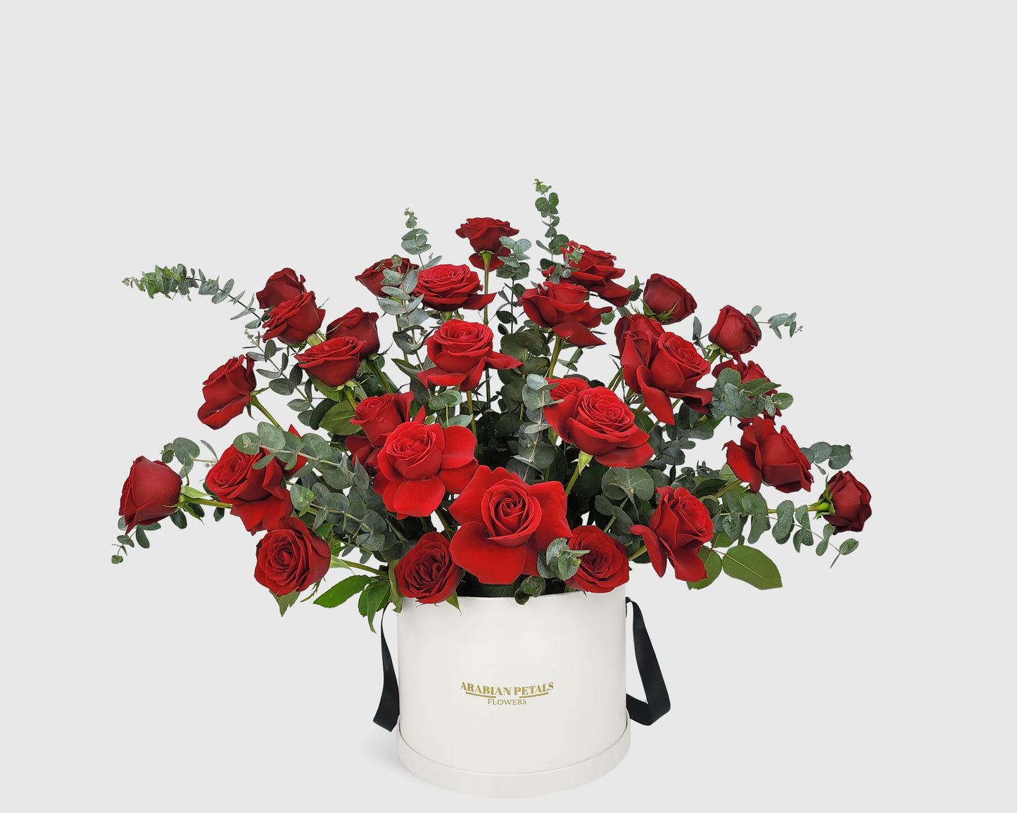 Garden Red Rose