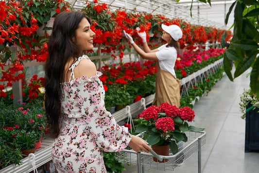 Best Summer Flowers That Thrive in the UAE Heat