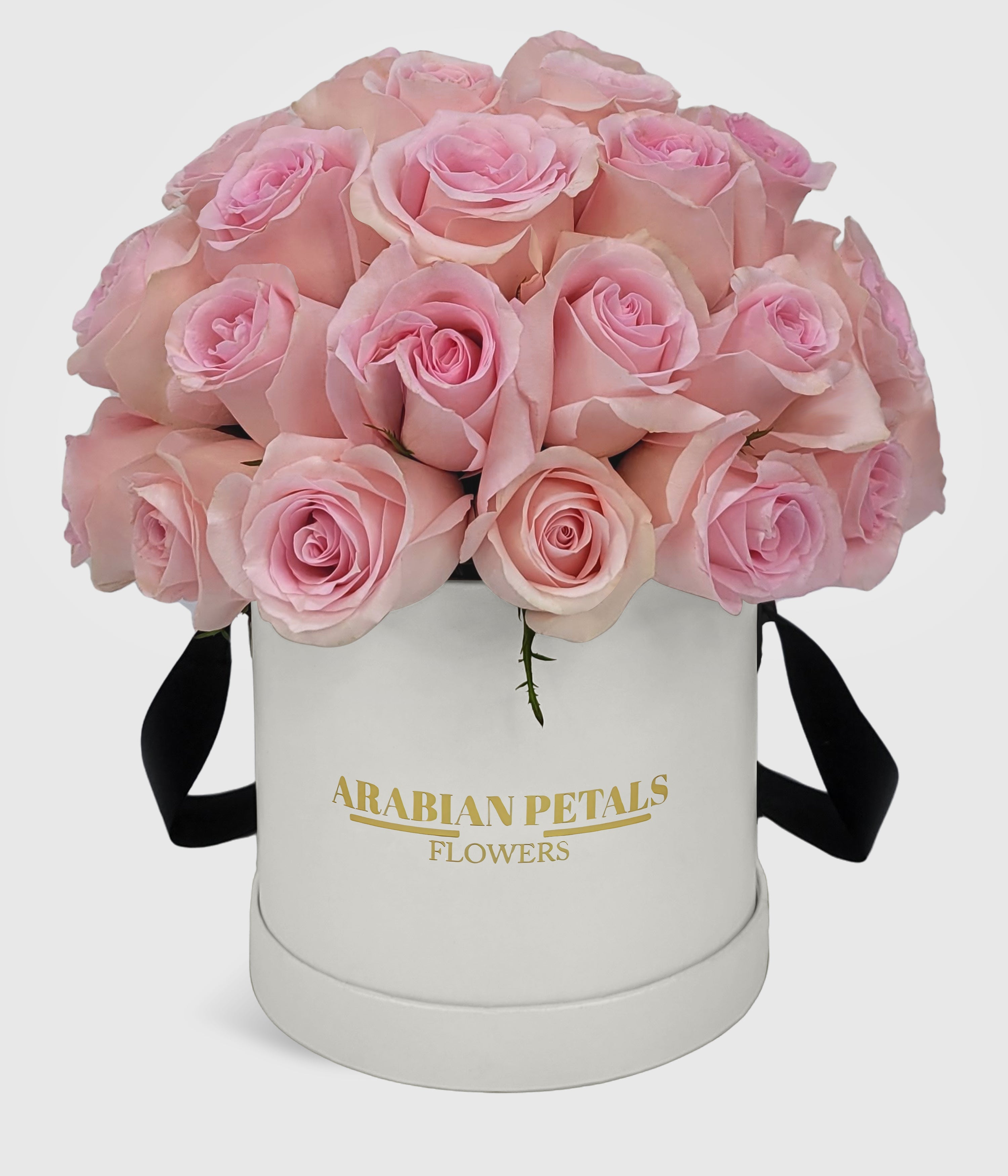Dome Rose Box