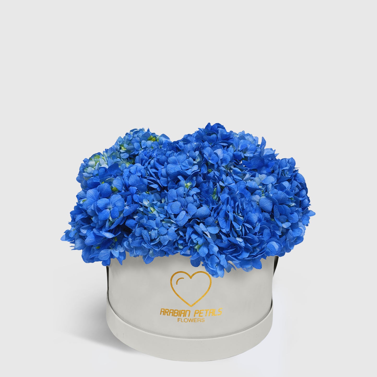 Blue Hydrangea Medium Box
