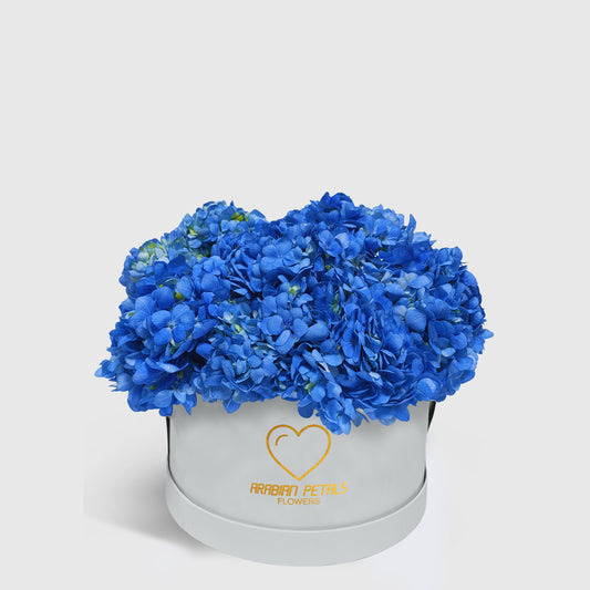 Blue Hydrangea Medium Box