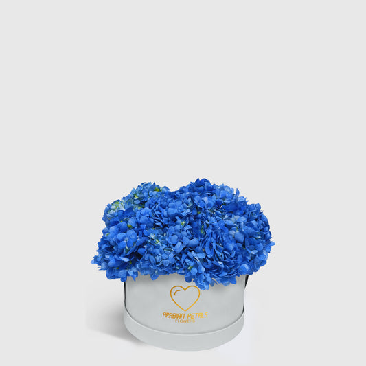 Blue Hydrangea Small Box