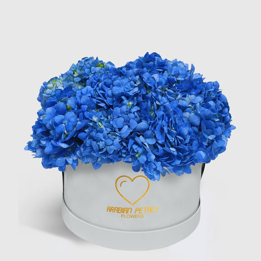 Blue Hydrangea