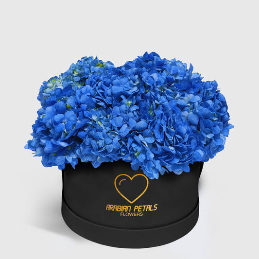 Blue Hydrangea Large Box