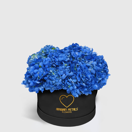 Blue Hydrangea Medium Box