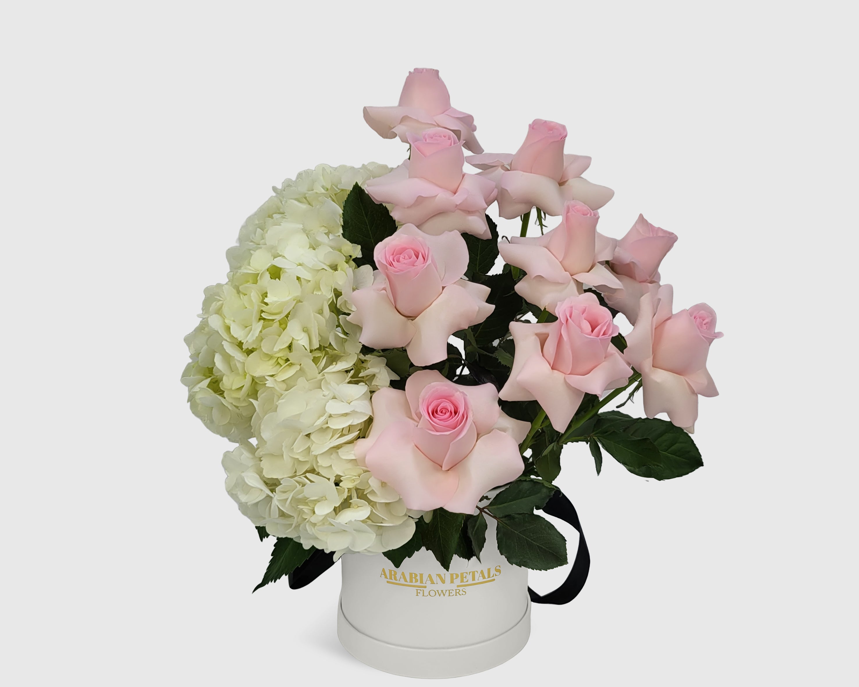 Ivory Blush