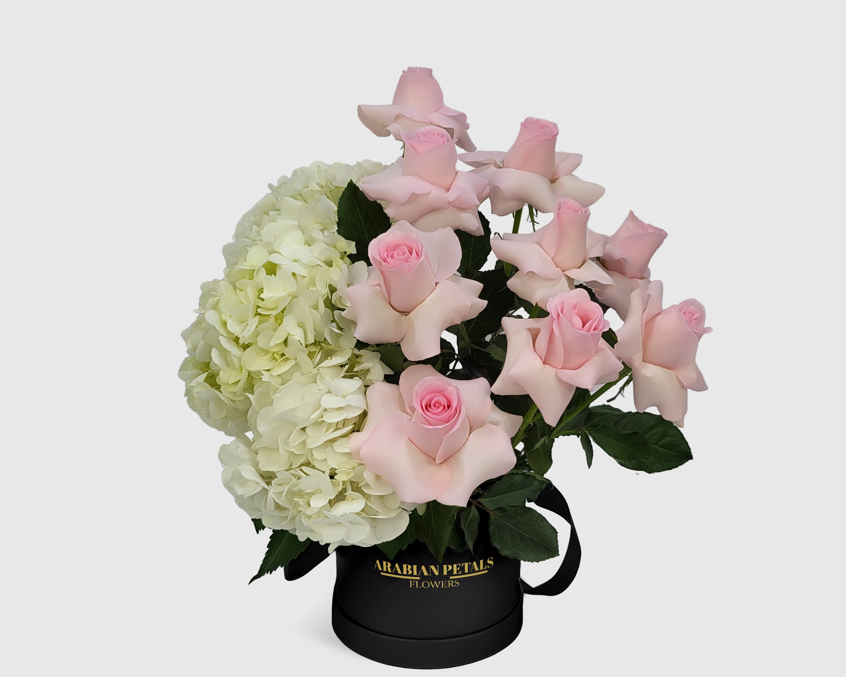 Ivory Blush