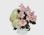Ivory Blush