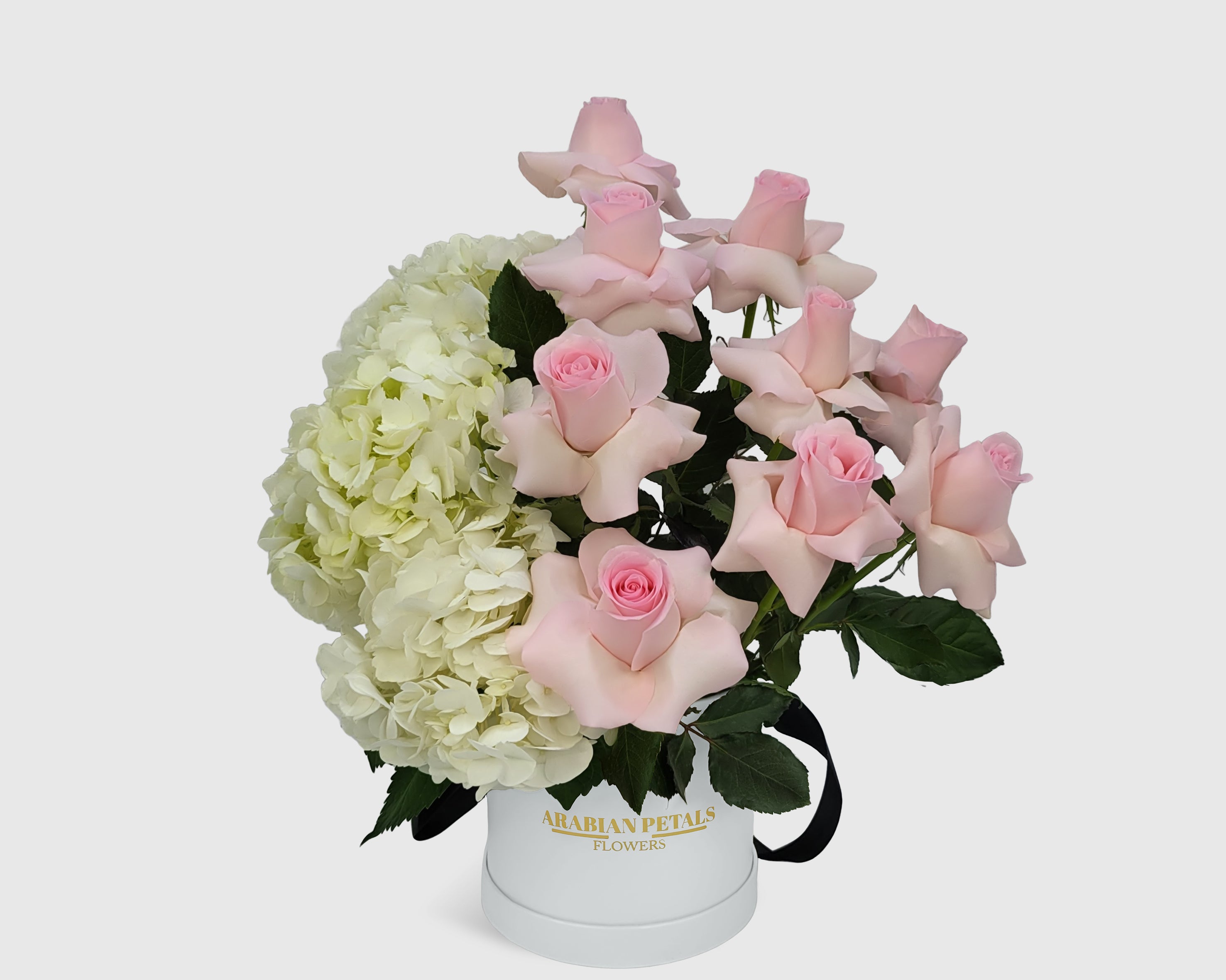 Ivory Blush