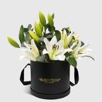 White Lily