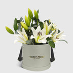 White Lily