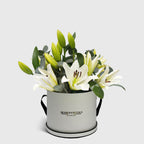 White Lily