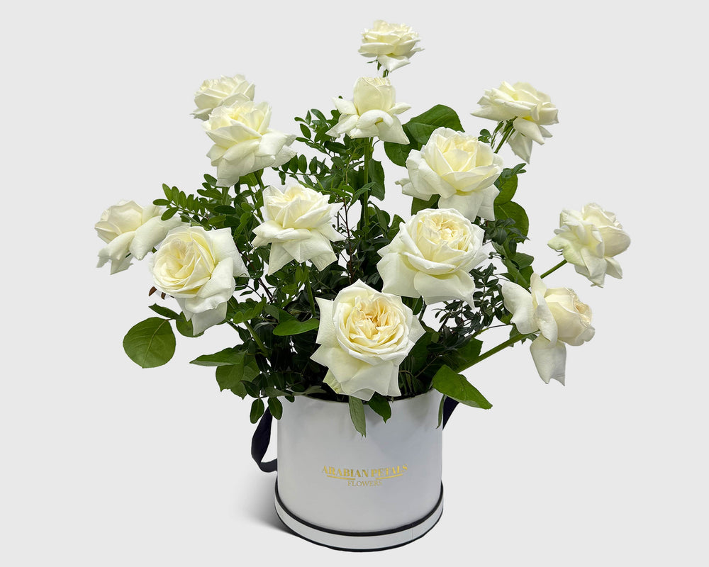 beautiful Snow Bloom