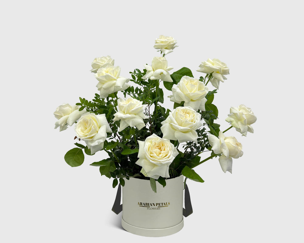 beautiful Snow Bloom