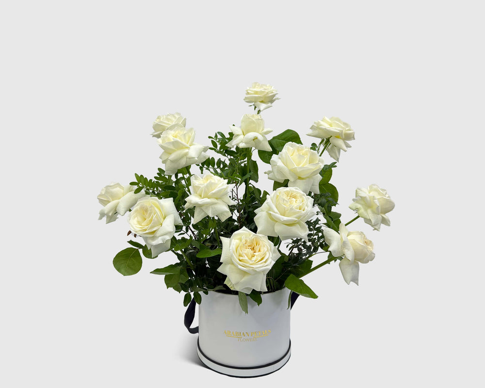 beautiful Snow Bloom