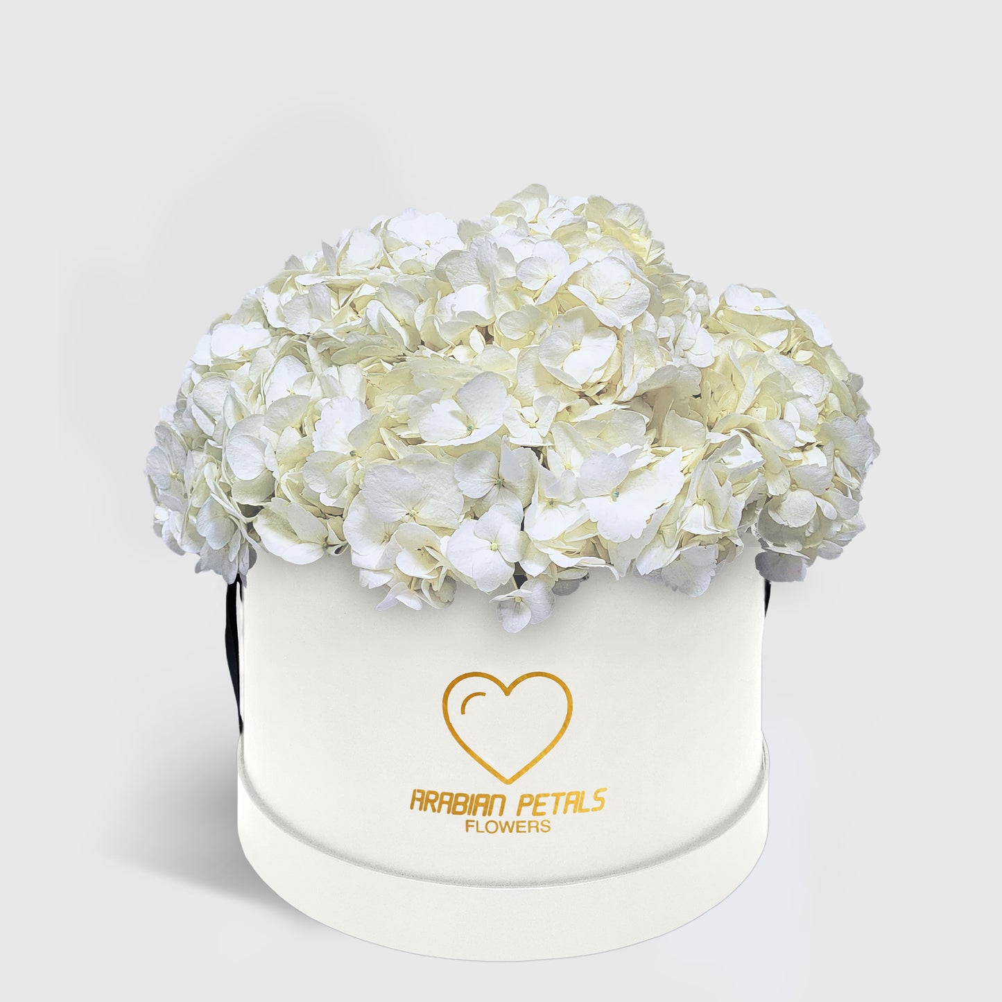 White Hydrangea Large Box