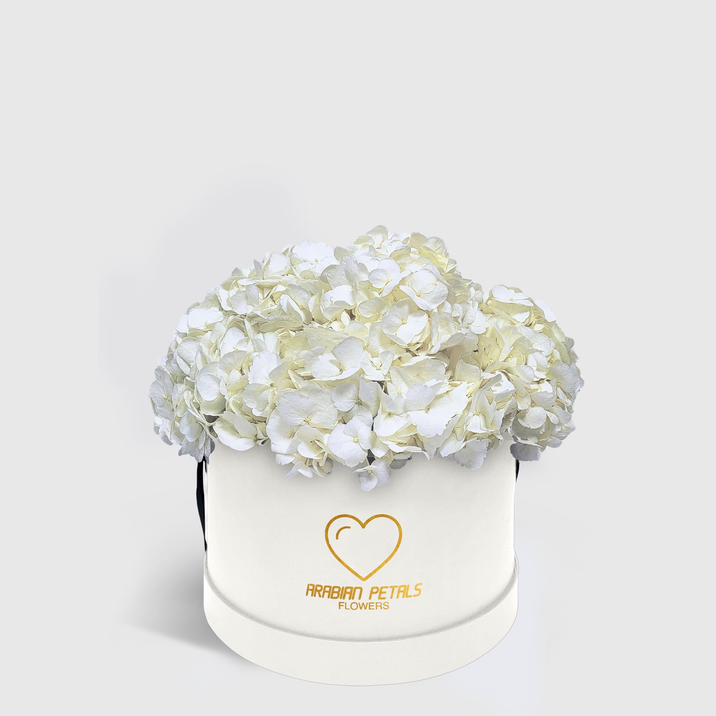 White Hydrangea Medium Box