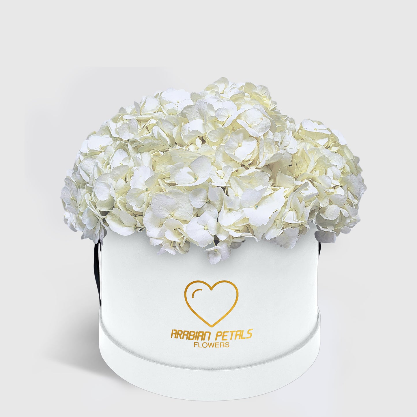 White Hydrangea Large Box