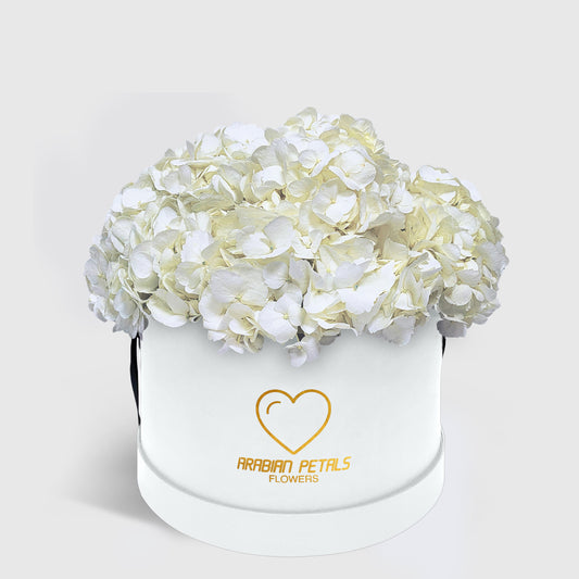 White Hydrangea Large Box