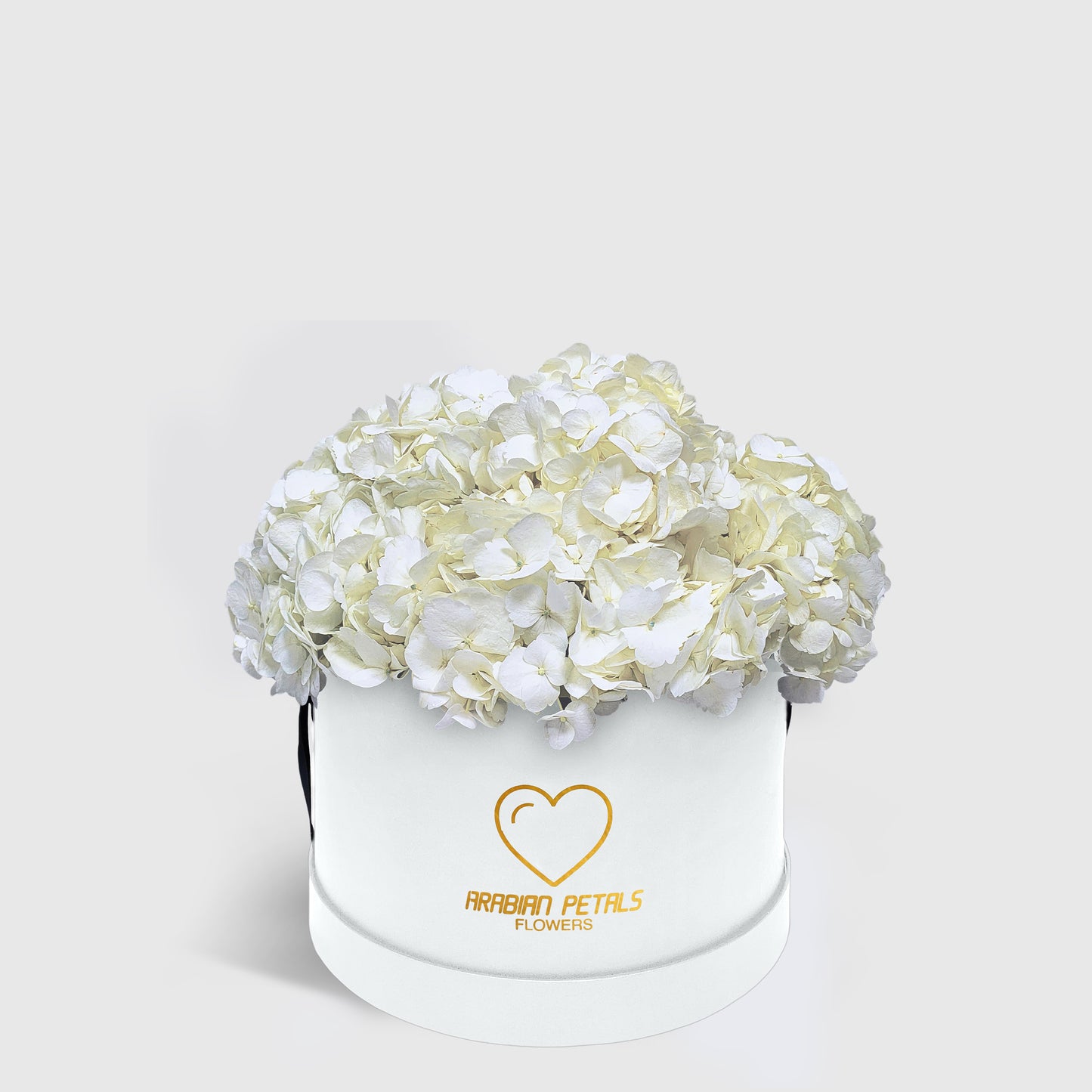 White Hydrangea Medium Box