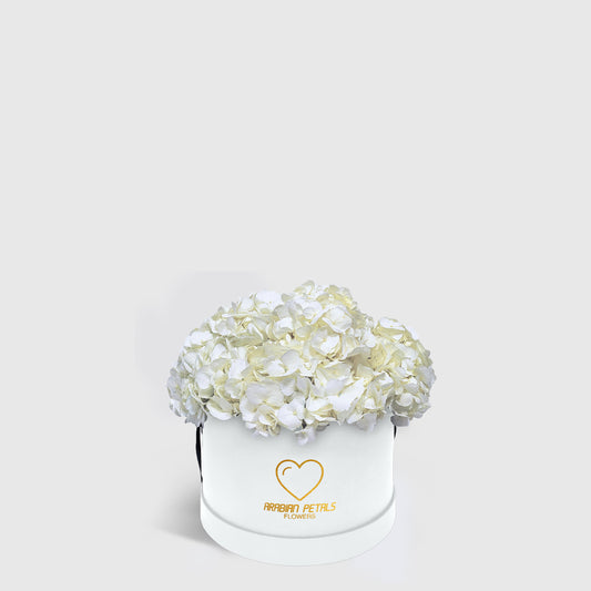 White Hydrangea Small Box