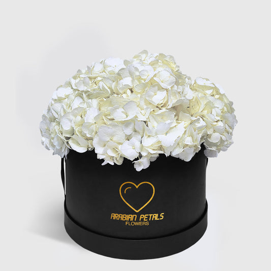 White Hydrangea Large Box