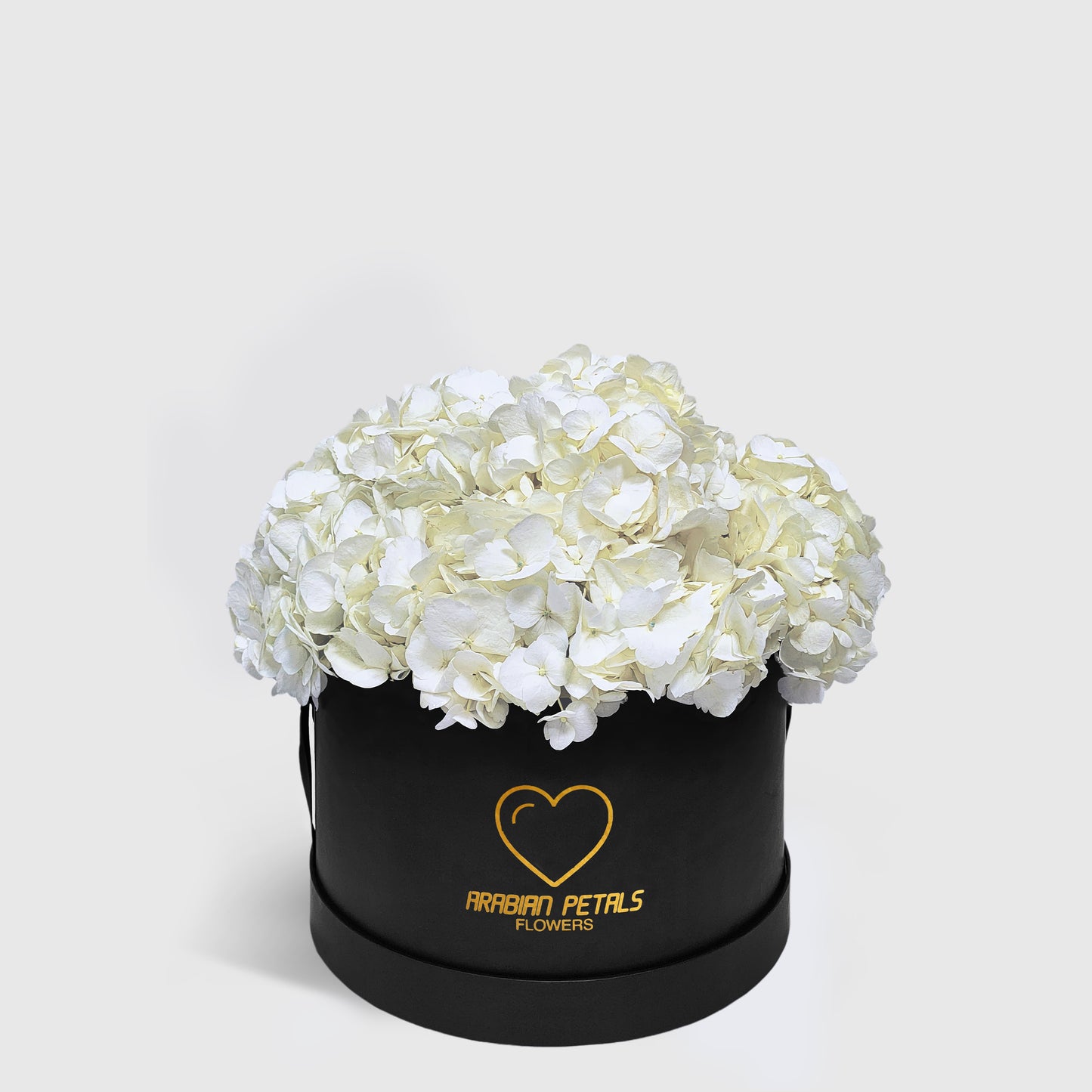 White Hydrangea Medium Box