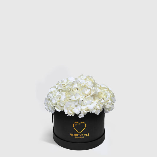 White Hydrangea Small Box