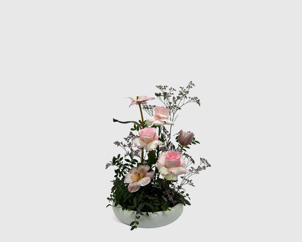 Blush Line