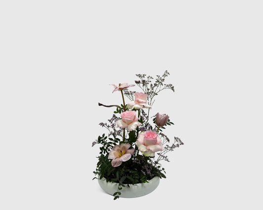 Blush Line