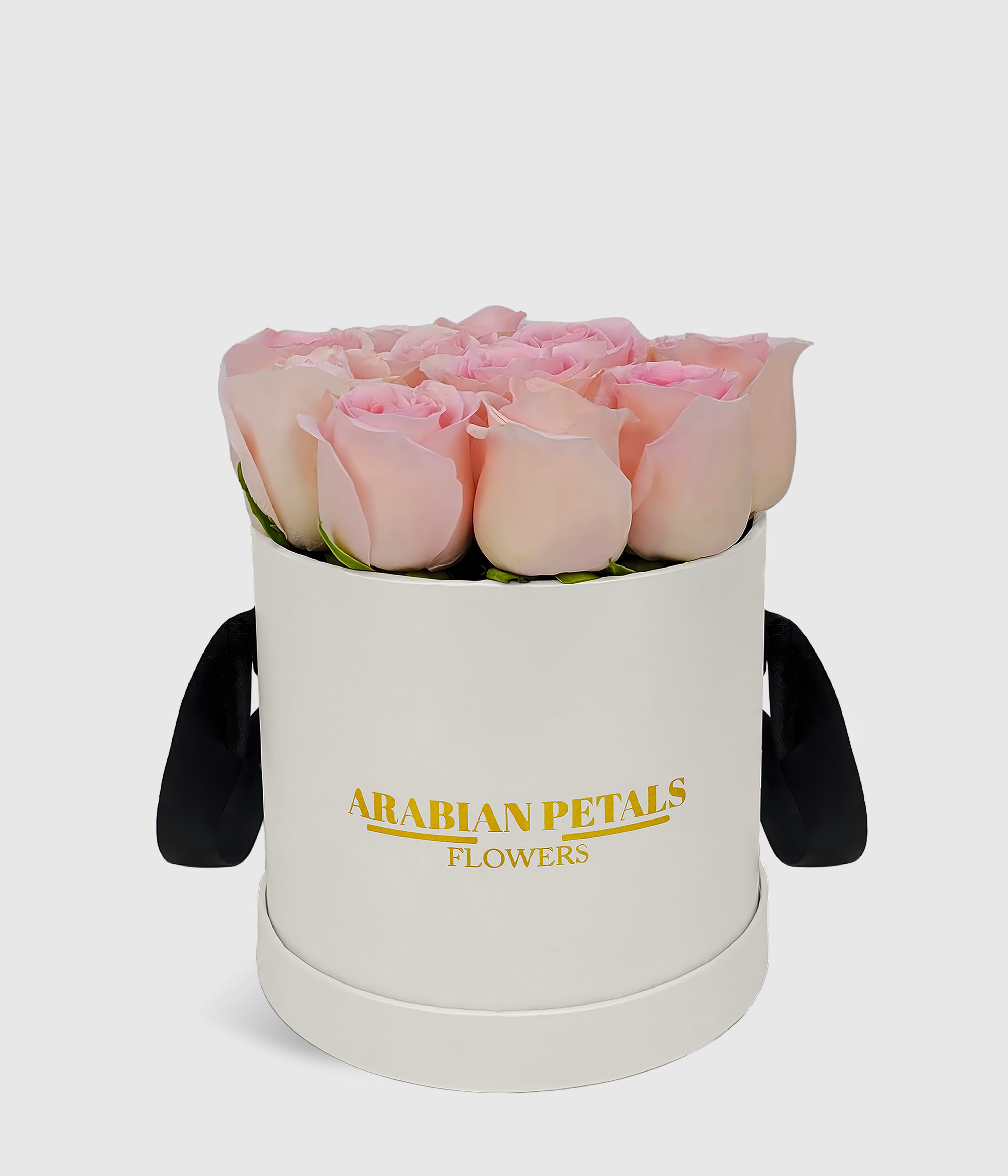 Classic Pink Roses