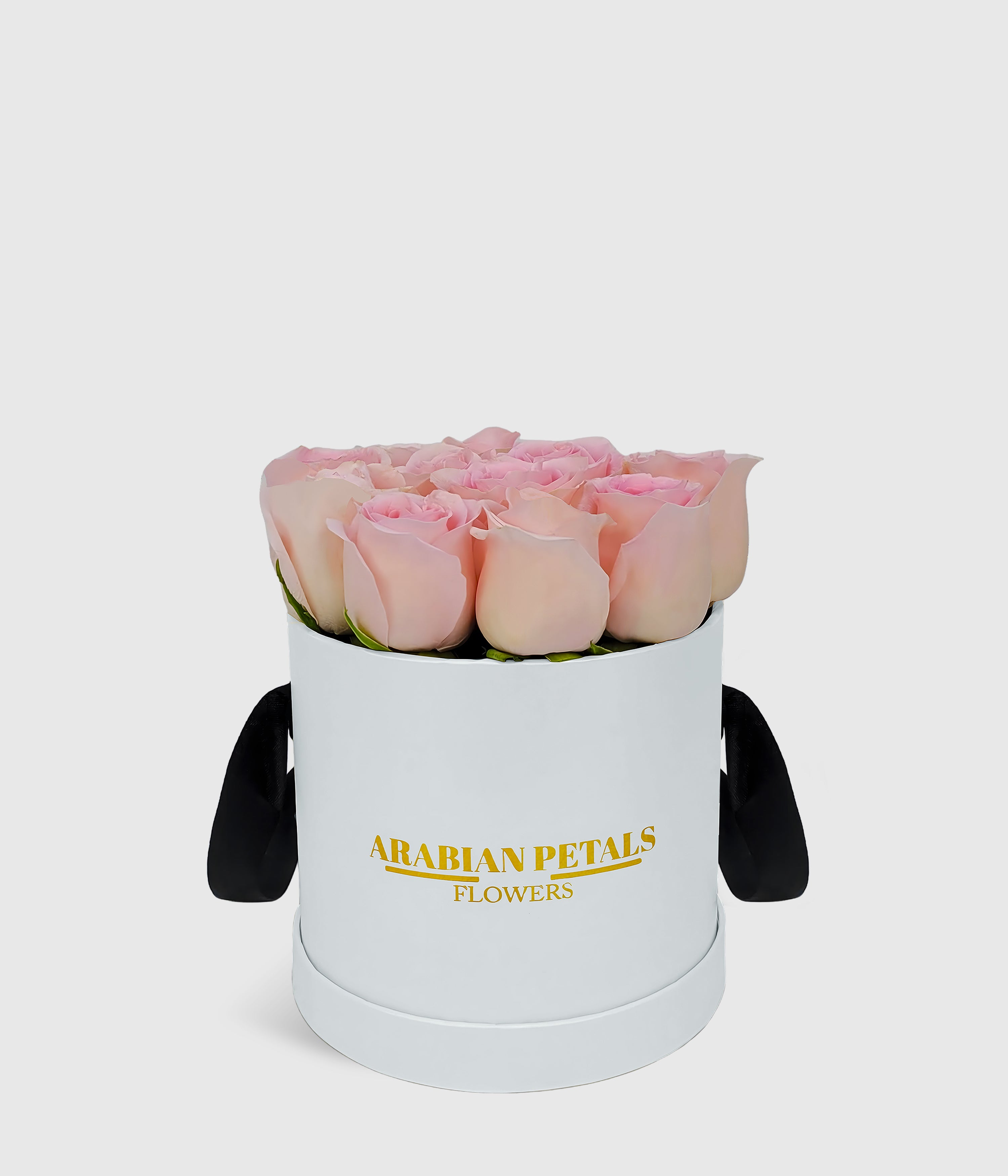 Classic Pink Roses