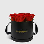 Classic Red Roses