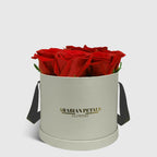 Classic Red Roses