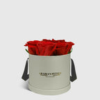 Classic Red Roses