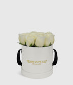 Classic White Roses