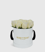 Classic White Roses