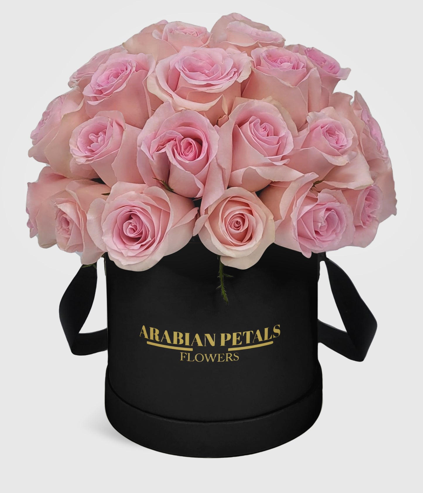 Dome Pink Roses Large Box