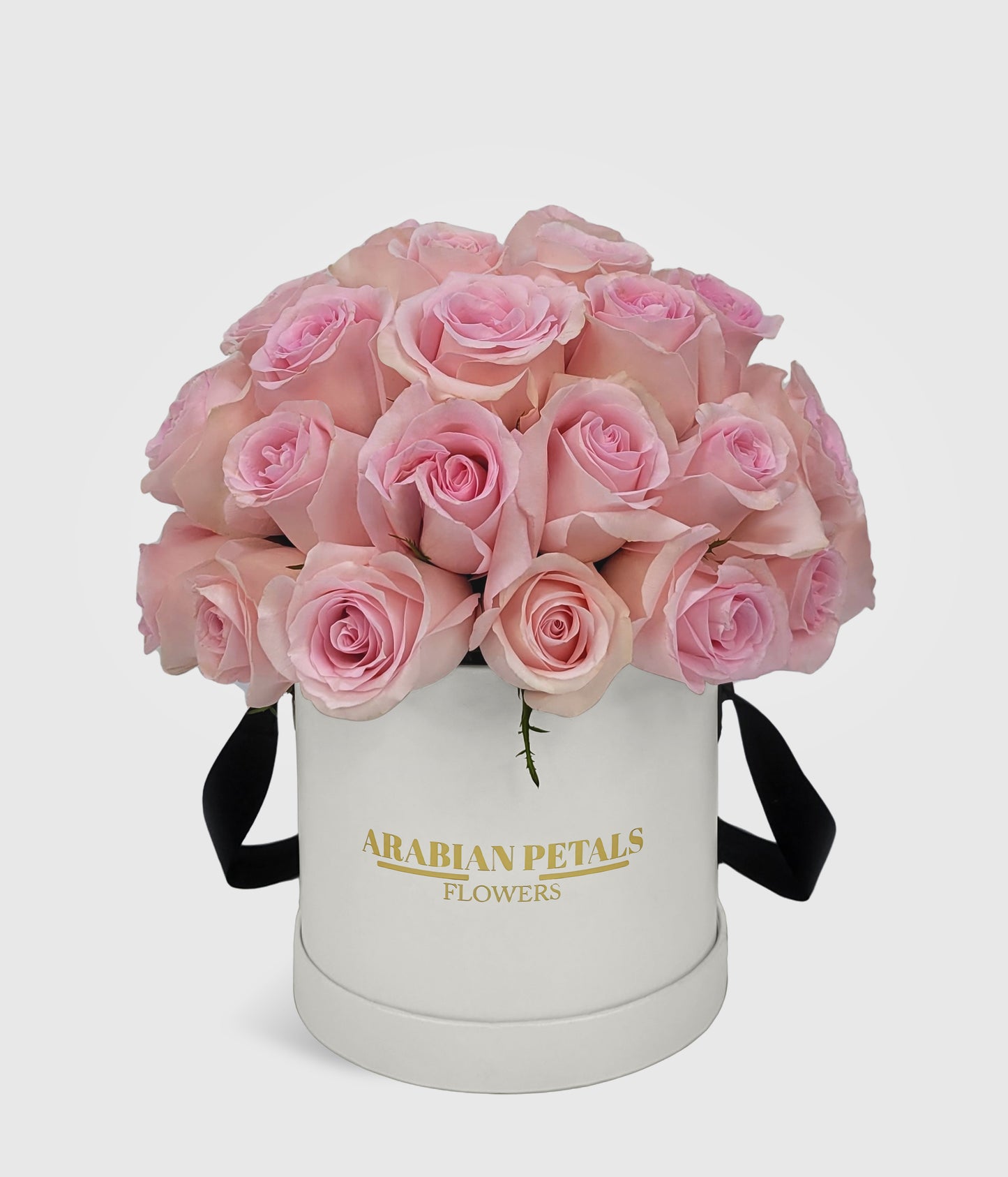 Dome Pink Roses Medum Box