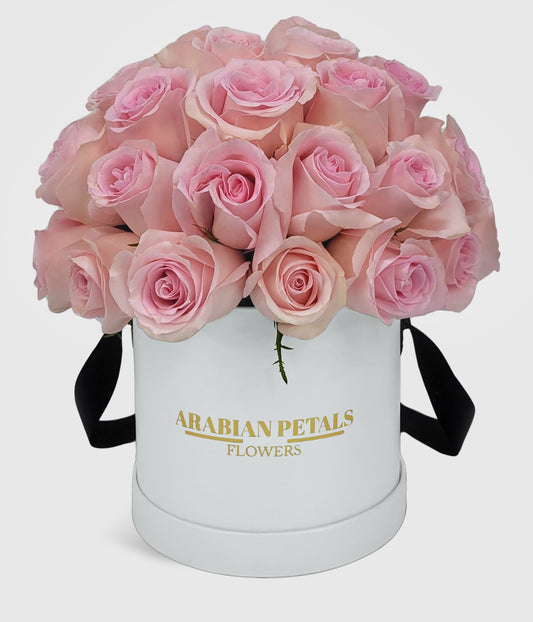 Dome Pink Roses Large Box