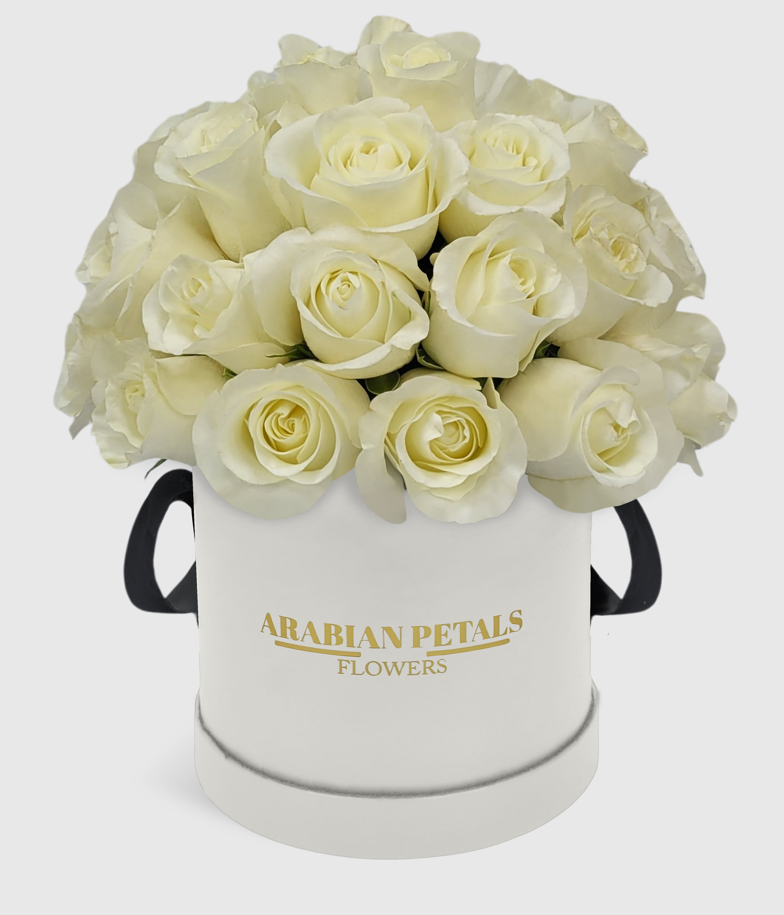 Dome White Roses