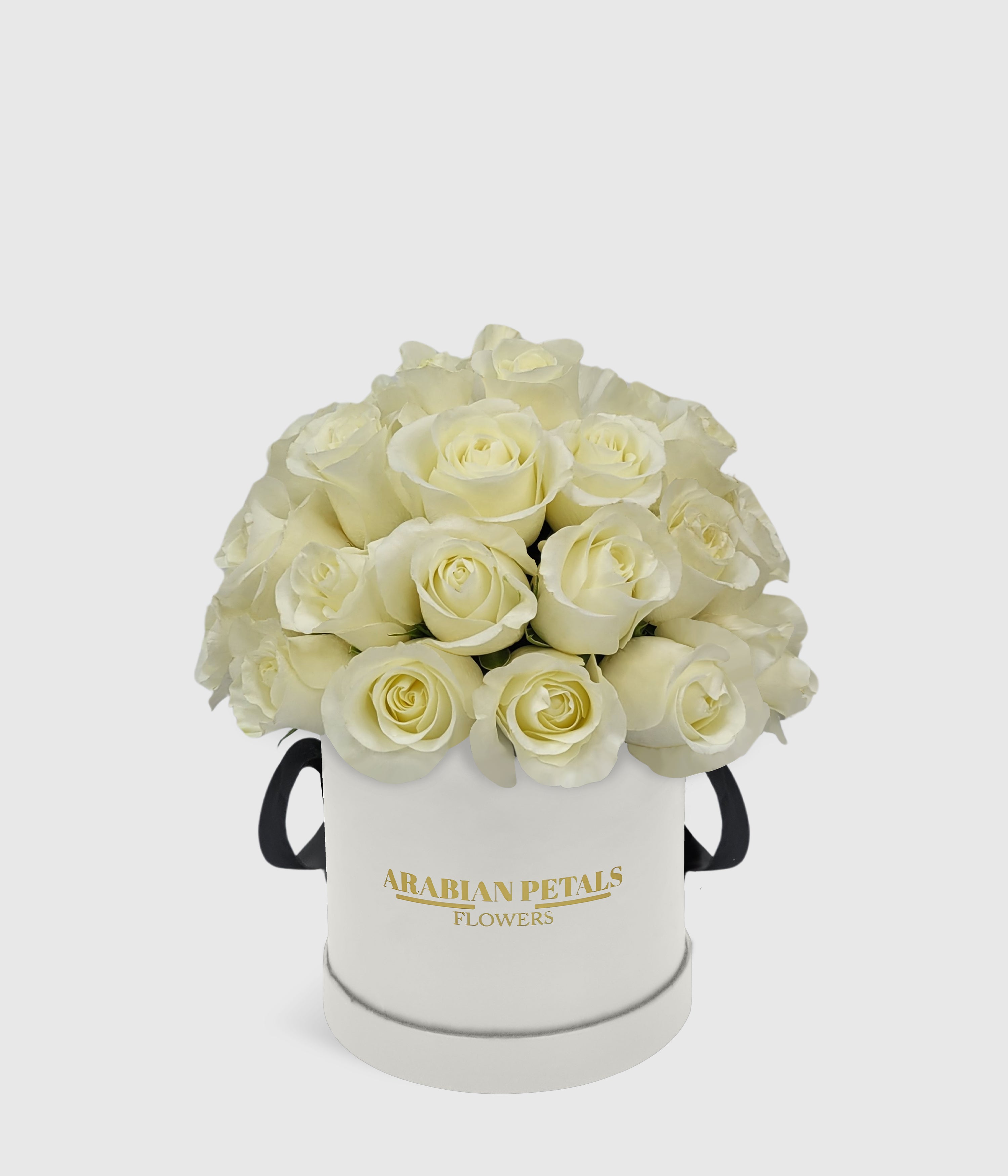 Dome White Roses