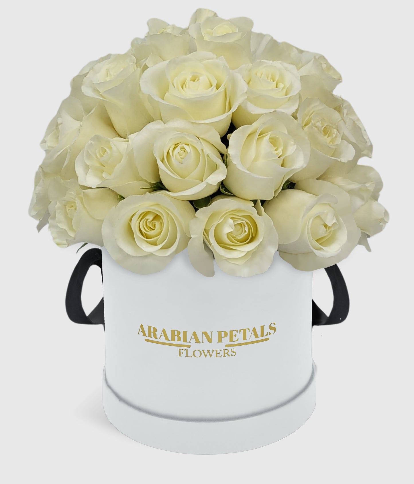 Dome White Roses Large Box