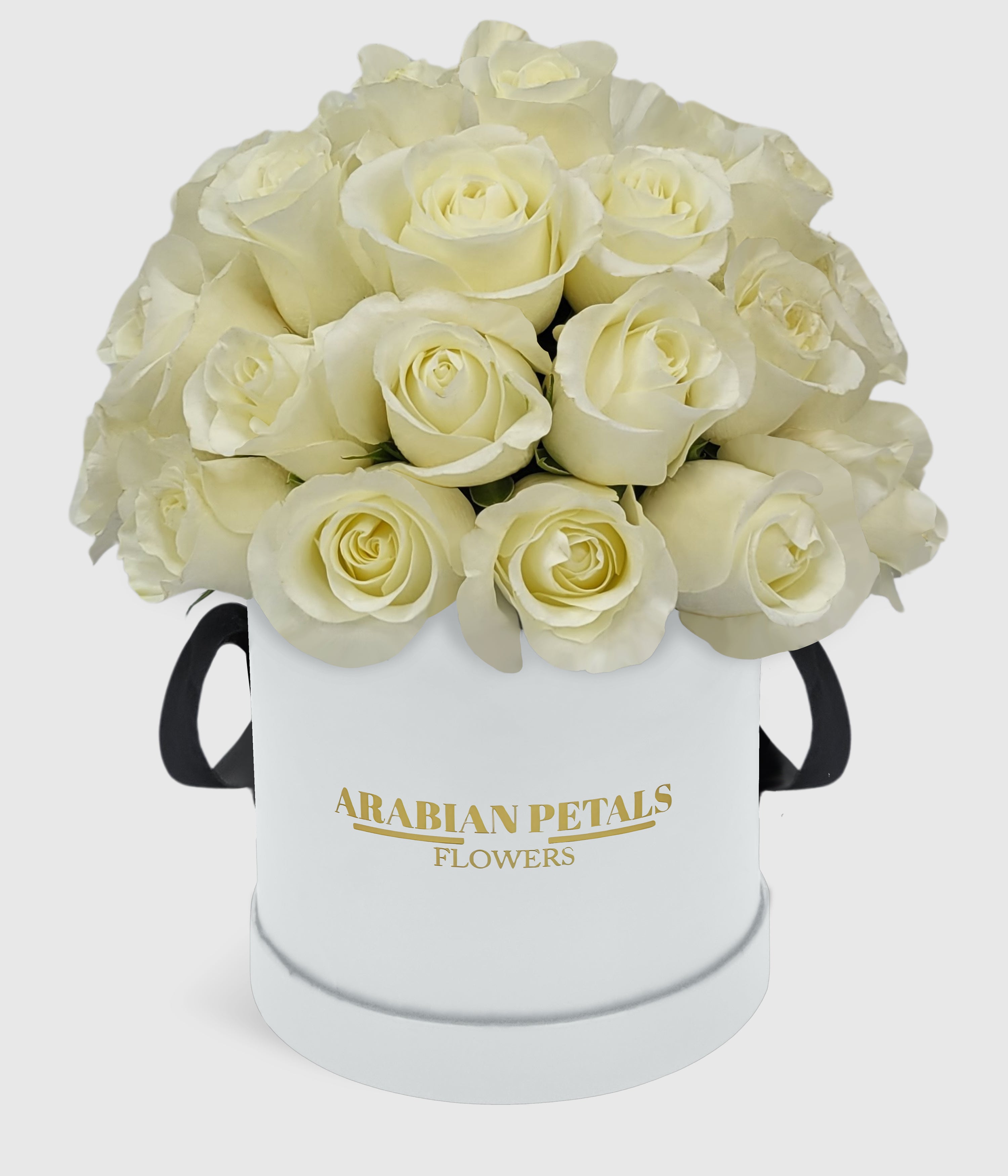 Dome White Roses