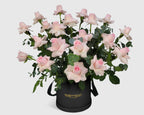 Garden Pink Rose