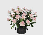 Garden Pink Rose