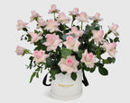 Garden Pink Rose
