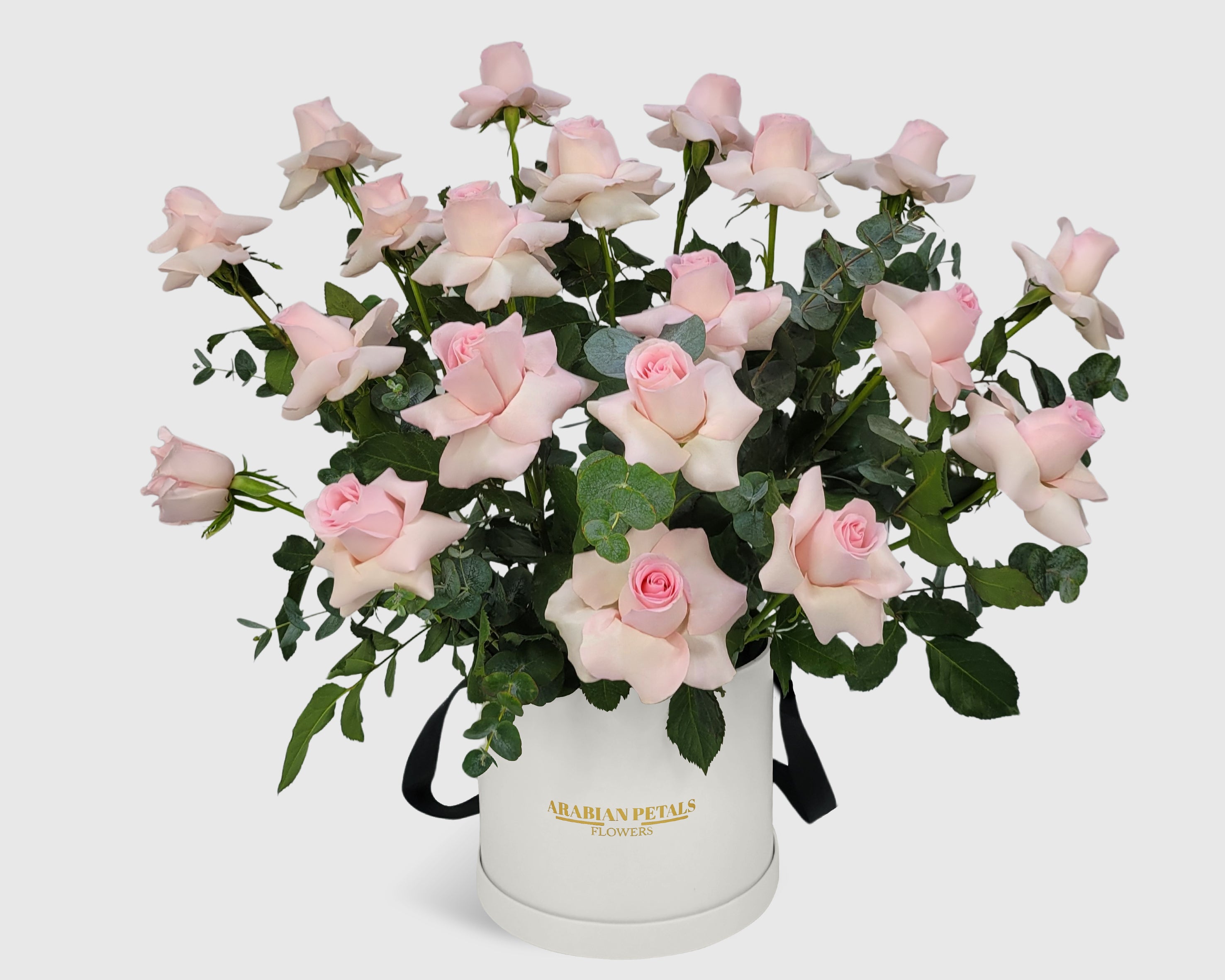 Garden Pink Rose