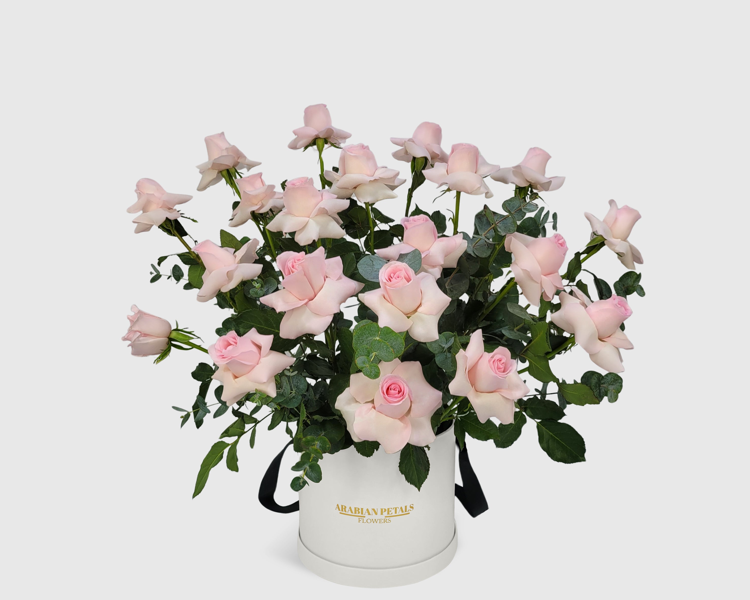 Garden Pink Rose